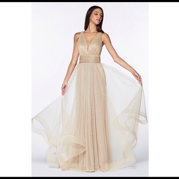 Cinderella Devine A-Line dress (Rosegold color) - Picture 2 of 3
